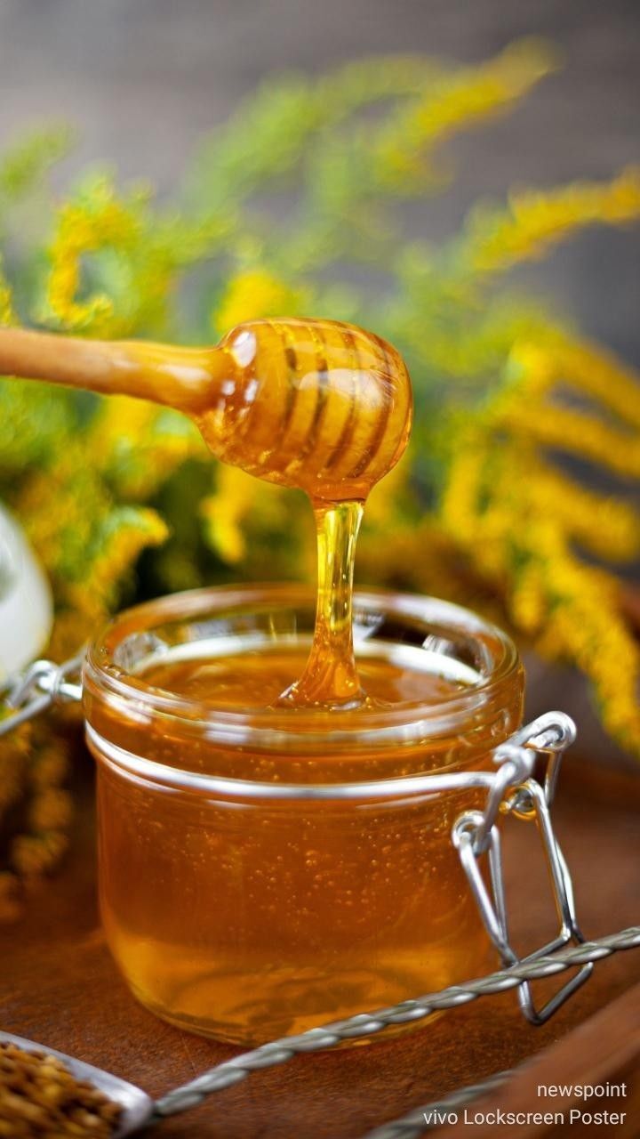 عسل: تاریخچه، رازها و نکات کمتر شنیده‌شده